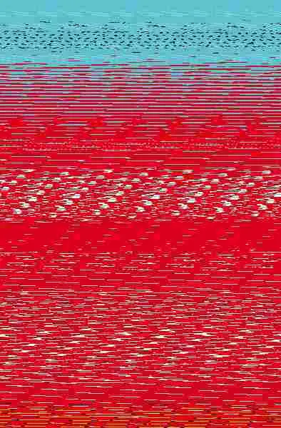 El Desafío de Becca