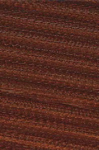 Nacida de la Vergüenza