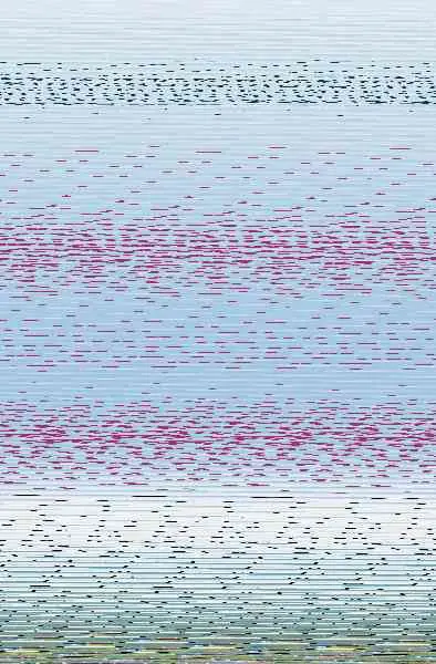 Los Bosques de Whitehorn