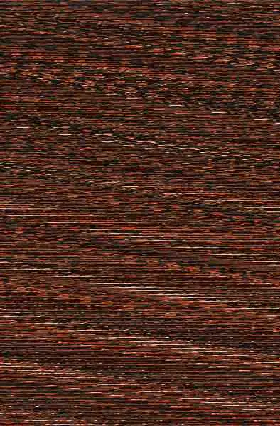 El Rey (La Hermandad de la Daga Negra 12)