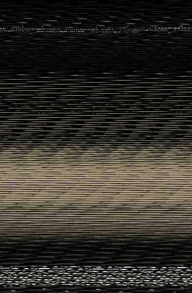 Libertad de Movimiento