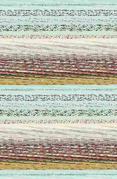 El Secreto de la Orquídea