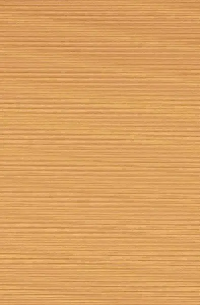 El Puente de Clay