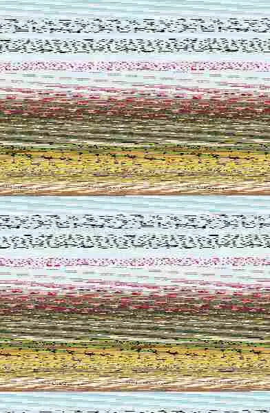 La Carta Olvidada (Edición Limitada)