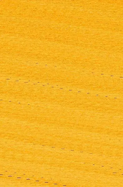 Sangre y Hueso (Crónicas de la Elegida 2)