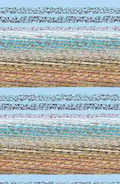 La Rosa de Medianoche (Edición Limitada a Precio Especial)