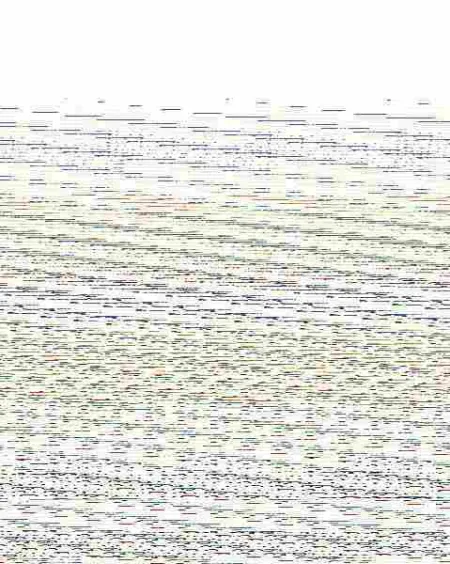 El Infinito en un Junco (Edición Limitada con Cantos Tintados)