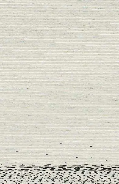 Viajera (Saga Outlander 3)