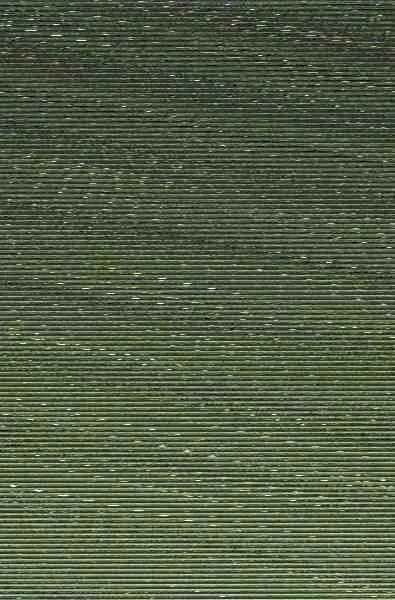 Hijas de la Luz del Norte