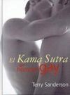 KAMA SUTRA DEL HOMBRE GAY