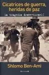 Cicatrices de Guerra, Heridas de Paz
