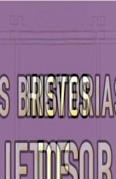 Historias Breves de Objetos Cotidianos