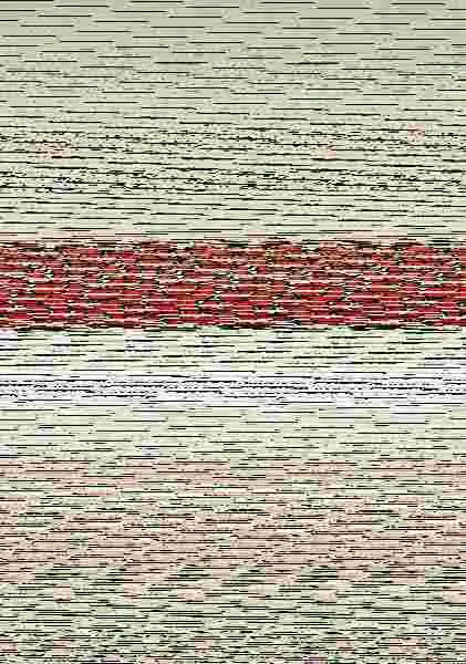 Rompetechos (Edición Integral: Primera Parte)
