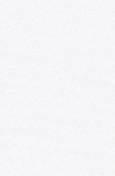 El Idioma de los Recuerdos