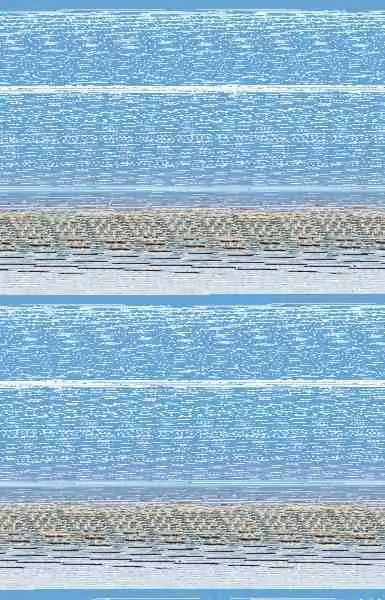 Las Brujas de San Petersburgo