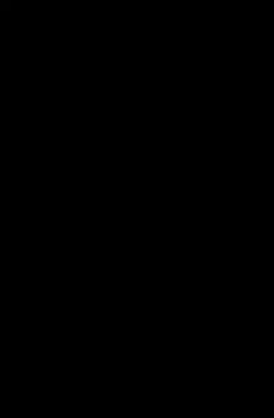 El Mosquito