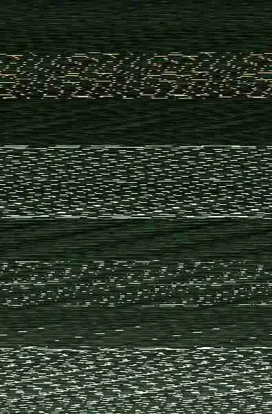 Libre Es mi Corazón