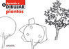 APRENDE A DIBUJAR PLANTAS, EDUCACIÓN PRIMARIA, 3 CICLO