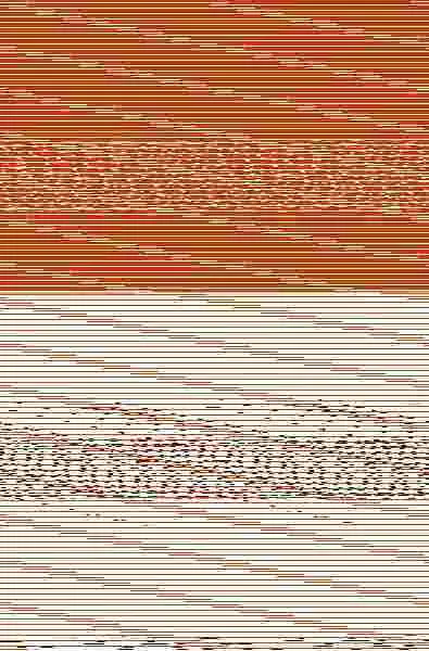 N Orió I Els Animals Mags