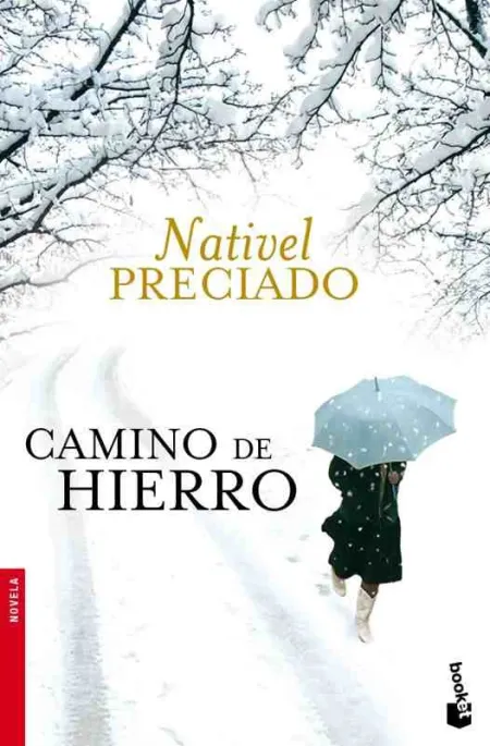 Camino de Hierro