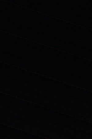 EL MANUSCRITO DE SANGRE