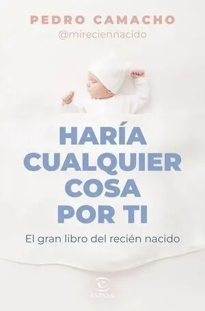 Haría Cualquier Cosa por Ti