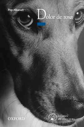 DOLOR DE ROSA Y OTROS CUENTOS