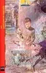Camaleón en las Tumbas de Menorca
