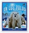 EN LOS POLOS