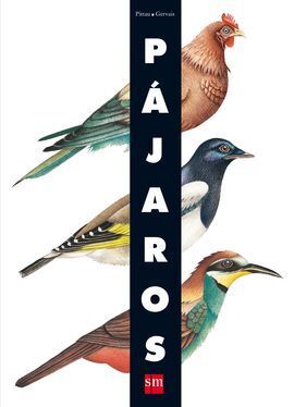 PAJAROS