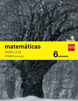 Matematicas 6 Trimestres (Andalucia)