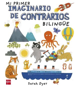 MI PRIMER IMAGINARIO DE CONTRARIOS BILIN