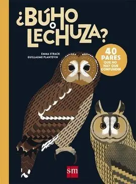 ¿Buho o Lechuza?