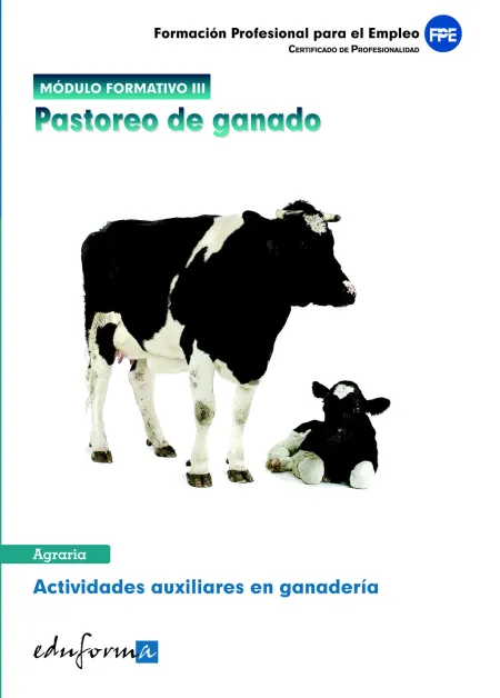 Módulo Formativo 3