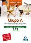 Grupo a del Servicio Andaluz de Salud. Temario Común y Test 2014