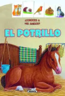Conoces a Mis Amigos. El Potrillo