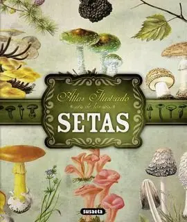 Atlas Ilustrado de Setas