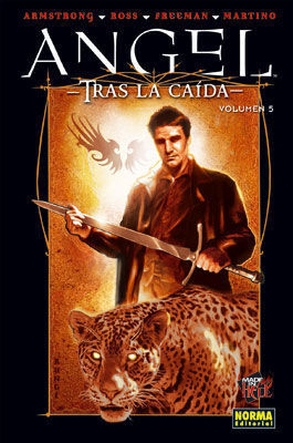 ANGEL TRAS LA CAIDA 5