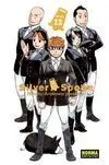 Silver Spoon 12