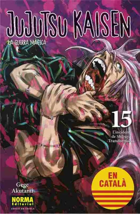 Jujutsu Kaisen 15 Catala