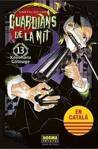 Guardians de la Nit 13