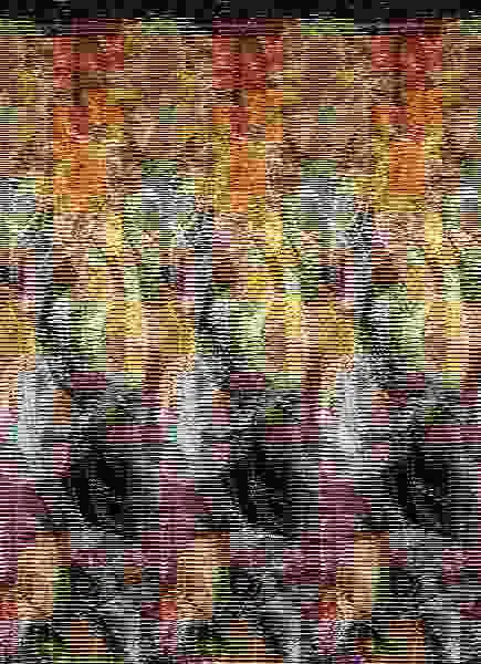Guardianes de la Noche Libro para Colorear Naranja
