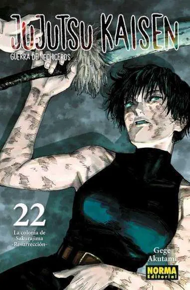 Jujutsu Kaisen 22