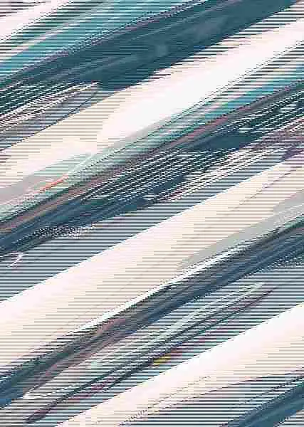 Mi Prometido Yakuza 8