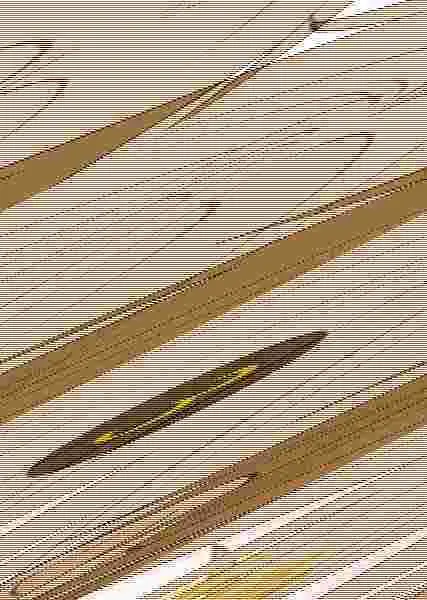 Rompiendo el Hielo 3