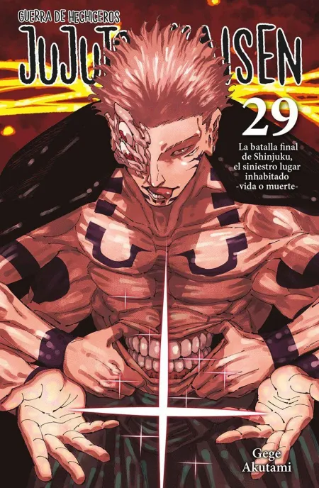 Jujutsu Kaisen:guerra de Hechiceros 29