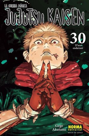 JUJUTSU KAISEN 30