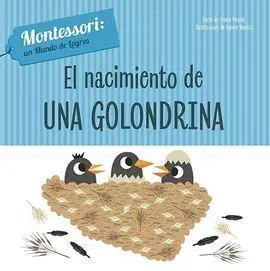 El Nacimiento de una Golondrina (Vvkids)