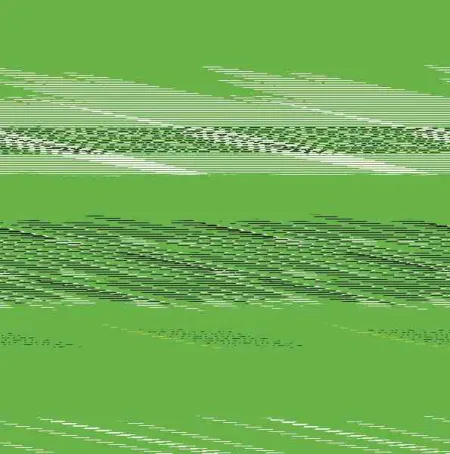 A Veces me Siento... Verde (Vvkids)