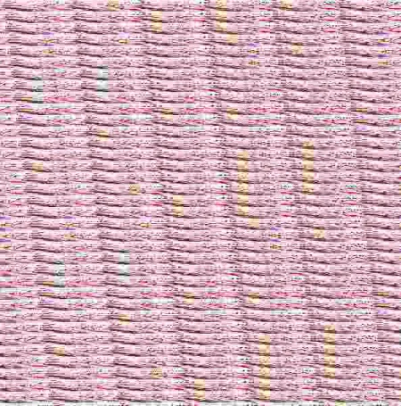 Un Barrio Es Mas que un Conjunto de Casas